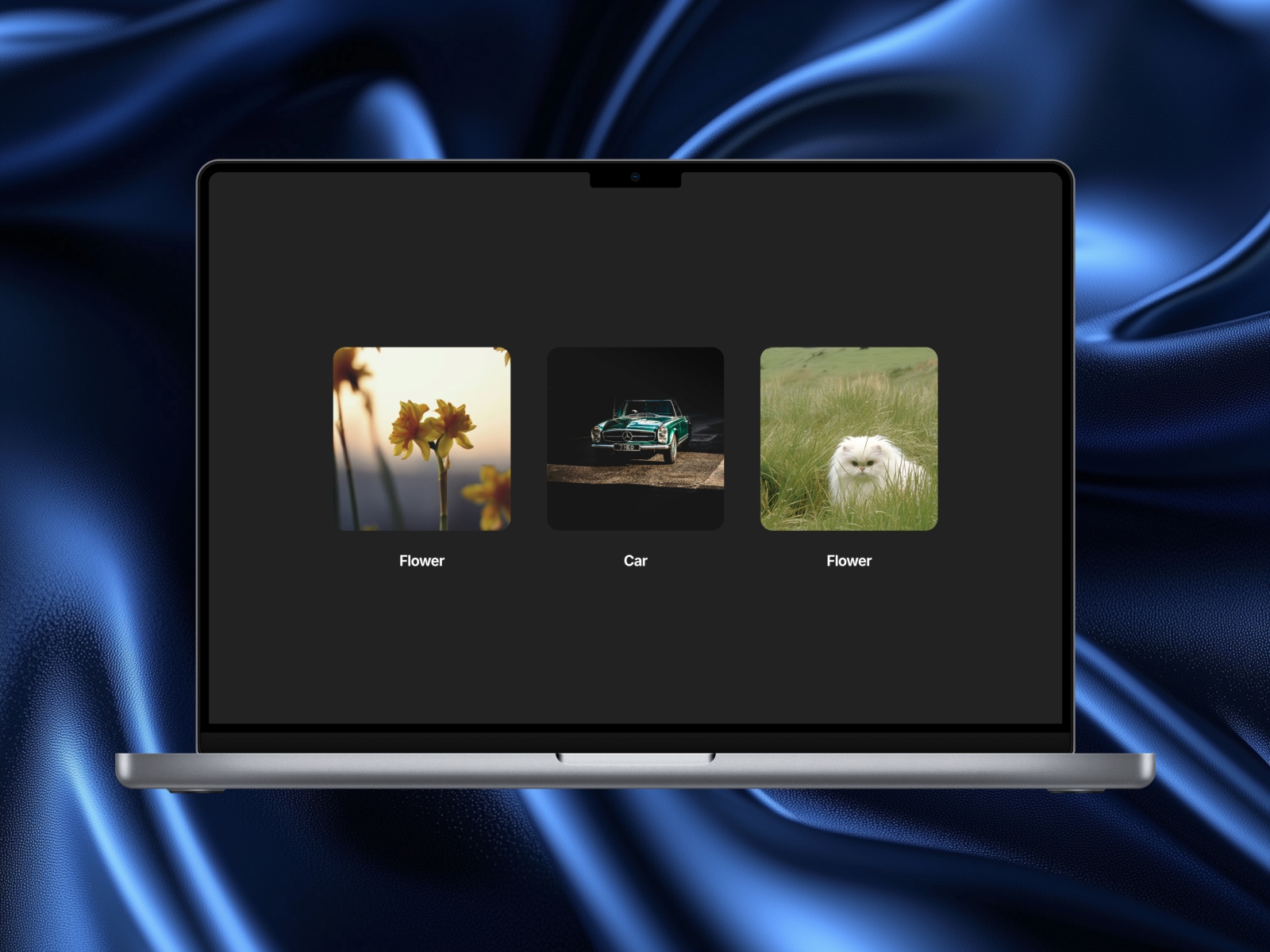 Thumbnail 2 for Image & Video Lightbox Gallery, a Framer Marketplace plugin by Şafak.