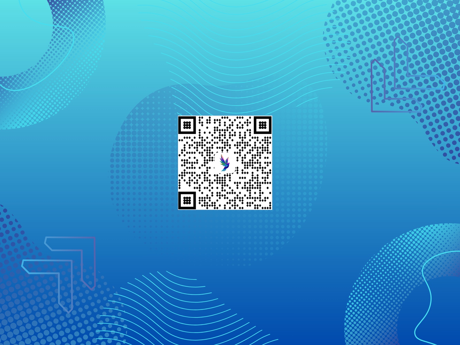 Screenshot 4 for SnapQR, a Framer Marketplace plugin by Framer Explified.