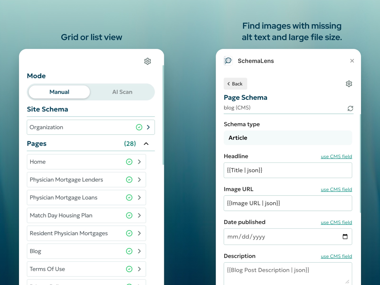Thumbnail 2 for SchemaLens, a Framer Marketplace plugin by Kevin James.