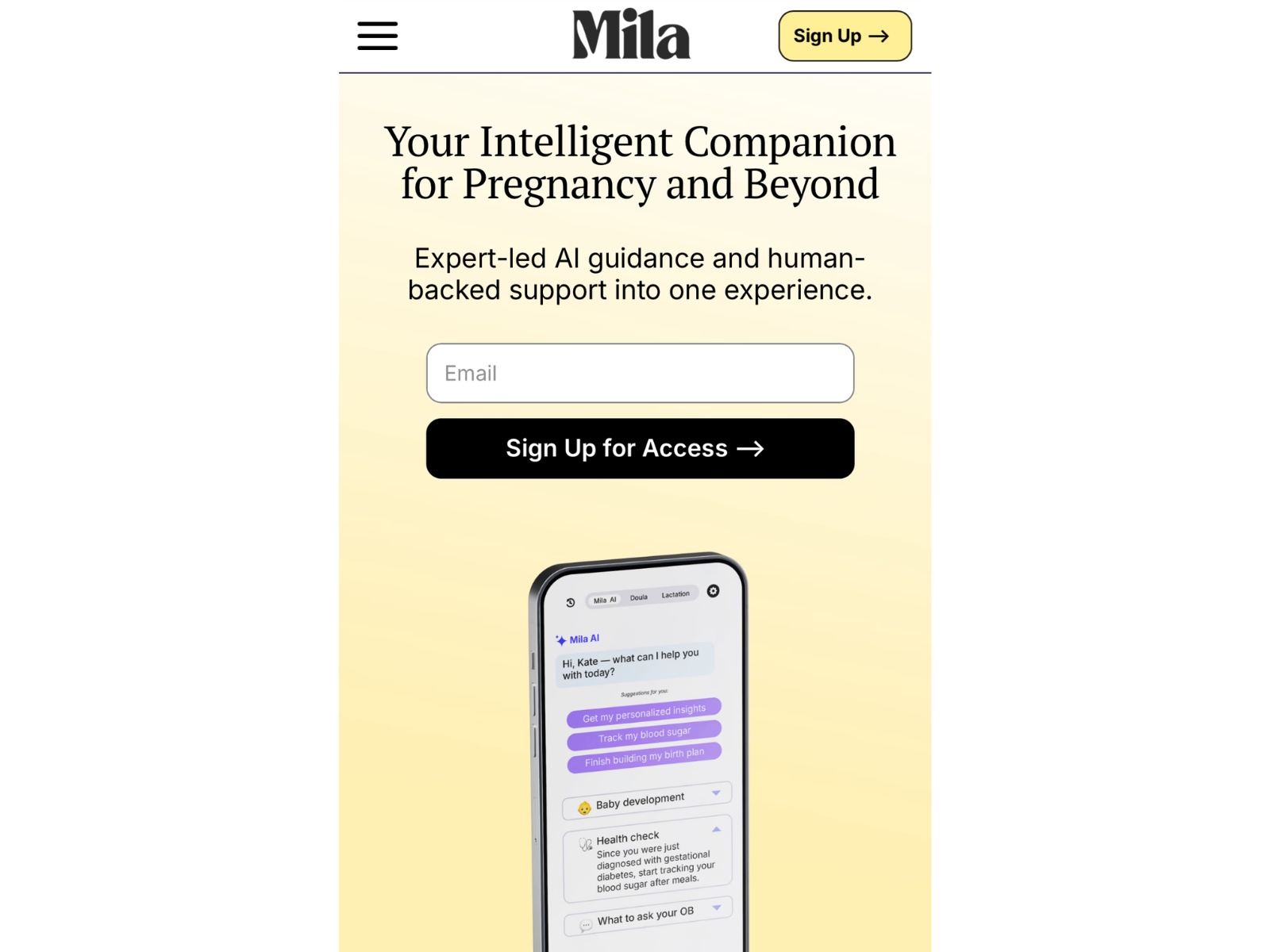 milasupport.com