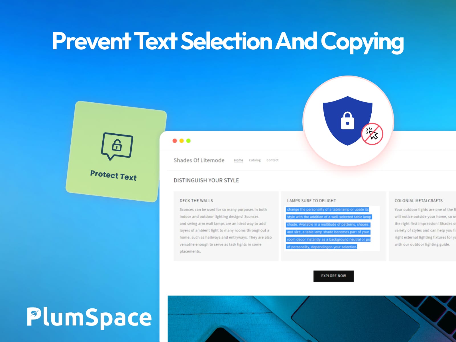 PlumSpace: Content Protection