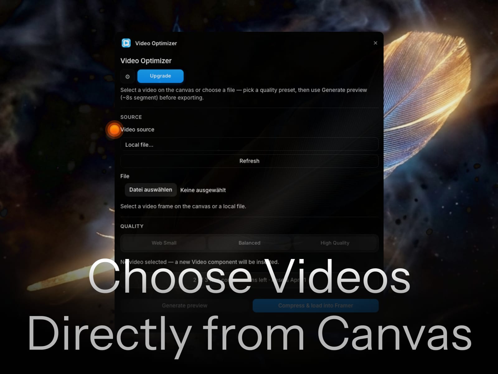 Video Optimizer