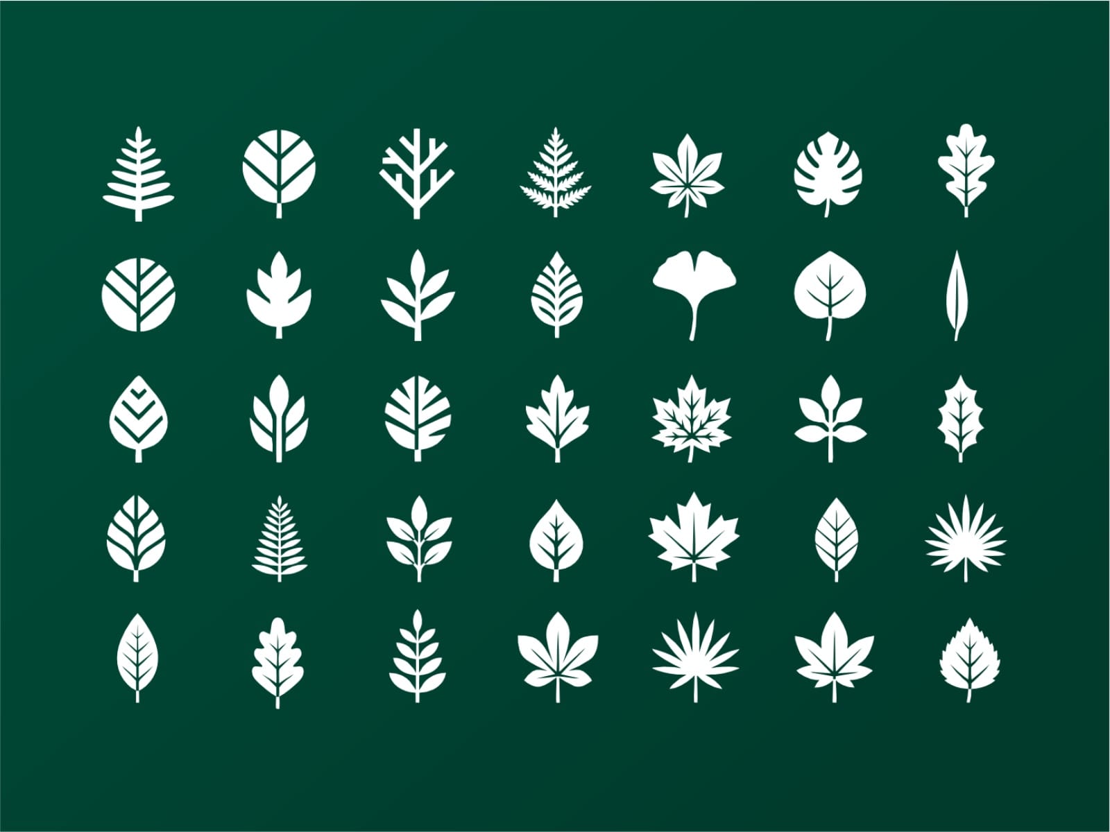 Leaf Shapes