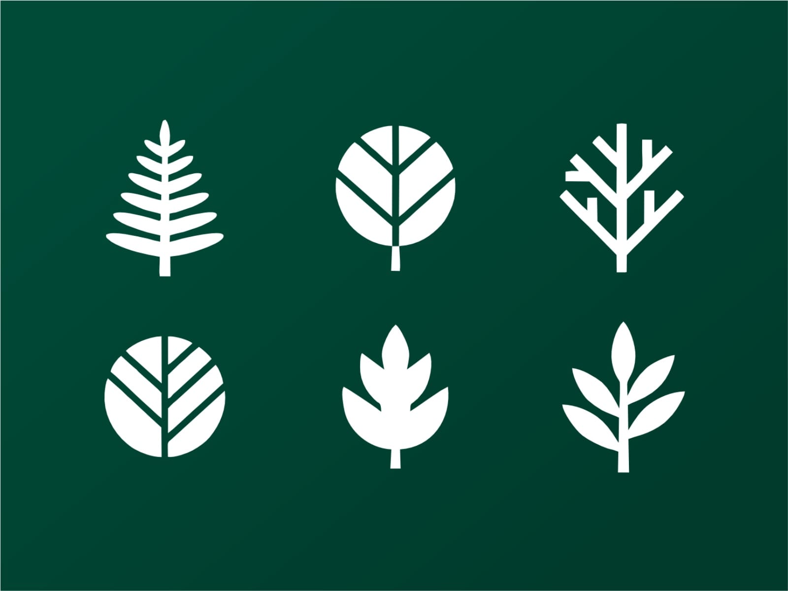 Leaf Shapes