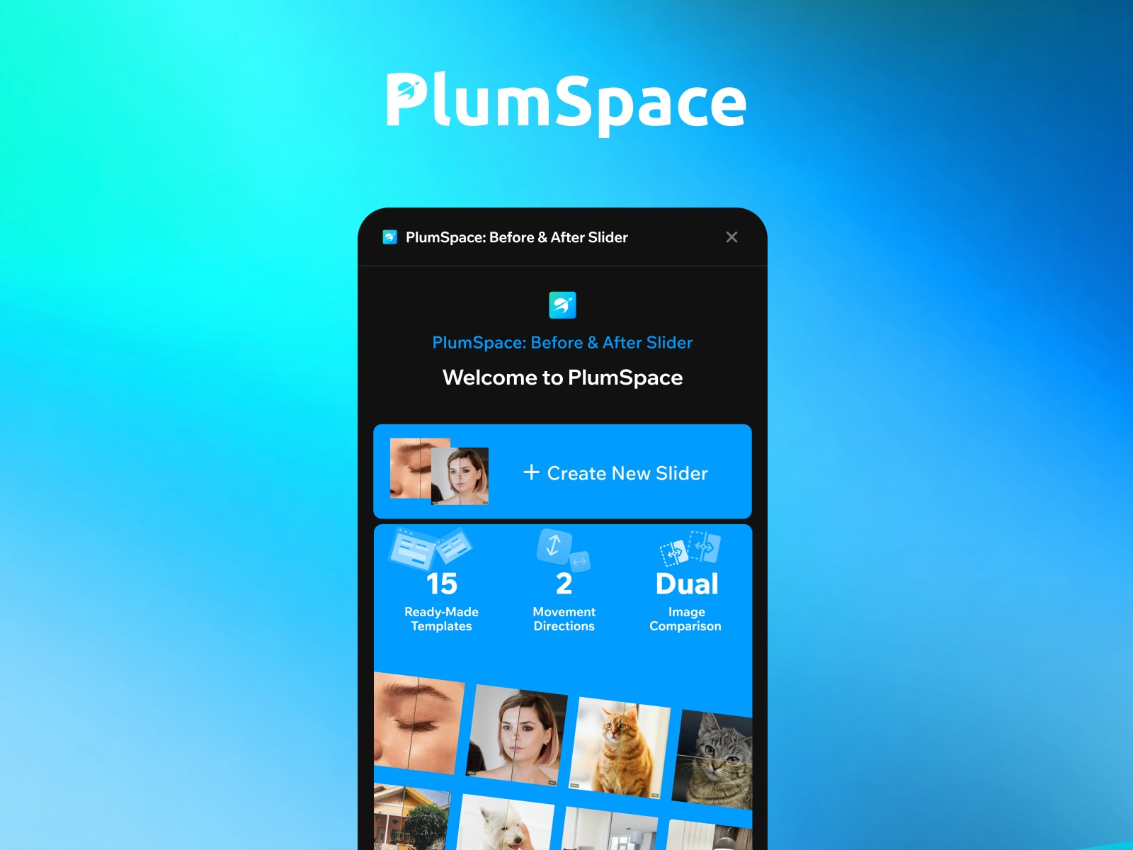 PlumSpace: Before & After Slider