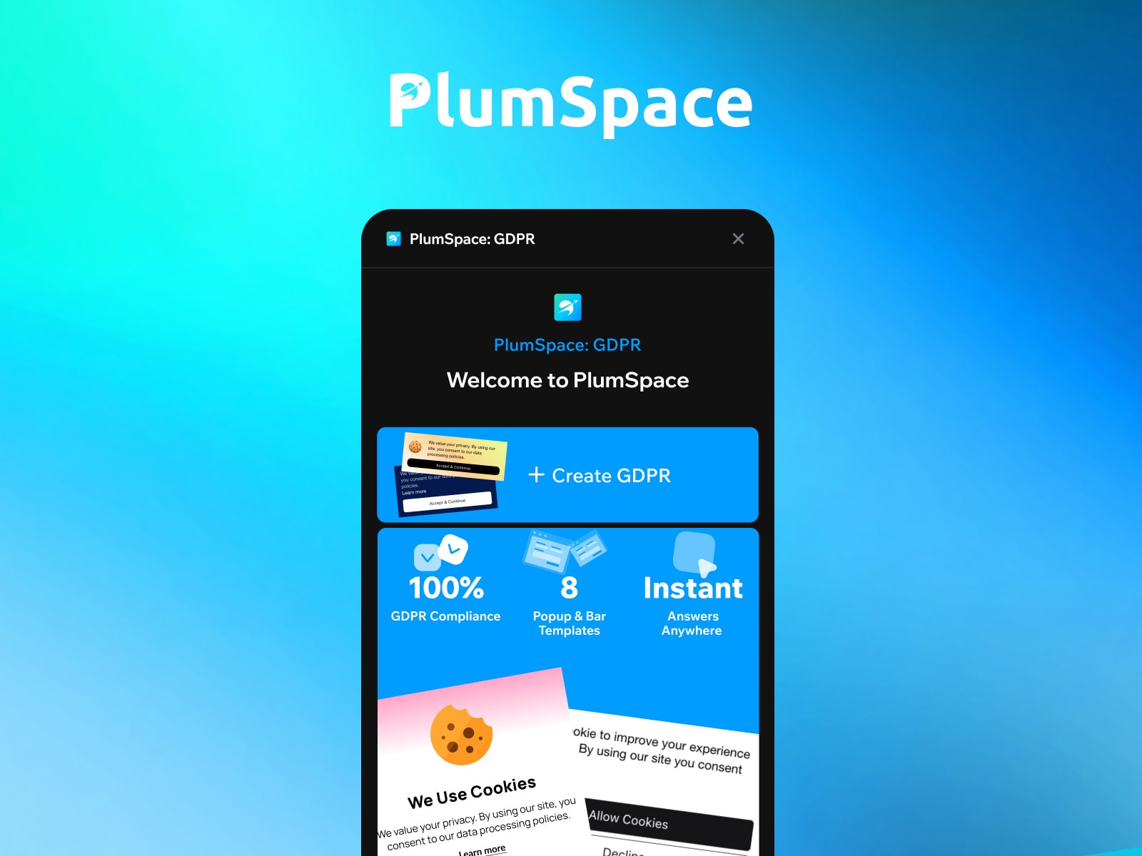 PlumSpace: GDPR Cookie Consent
