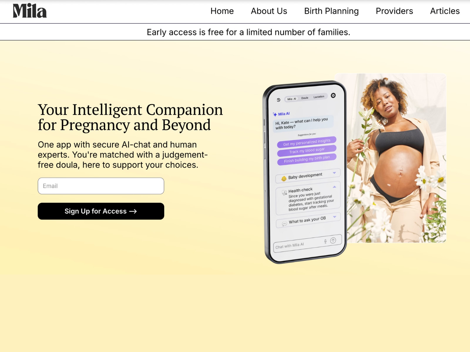 milasupport.com