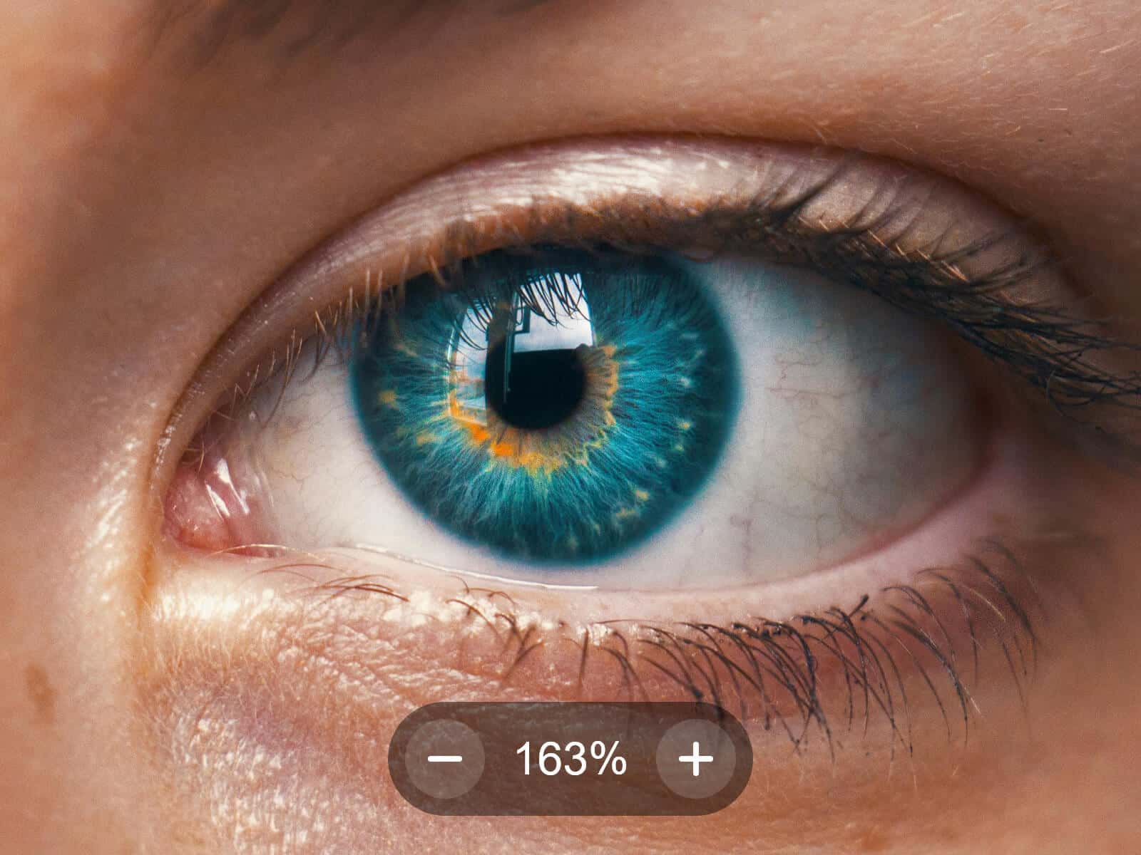 Deep Zoom