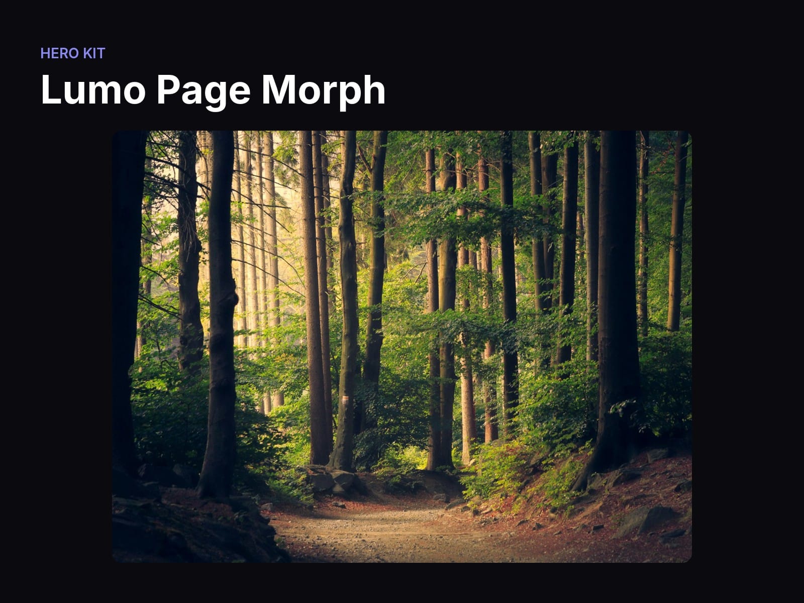 Lumo Page Morph
