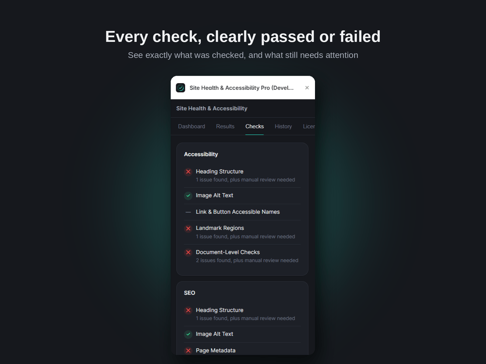 Framer Site Health Accessibility Pro