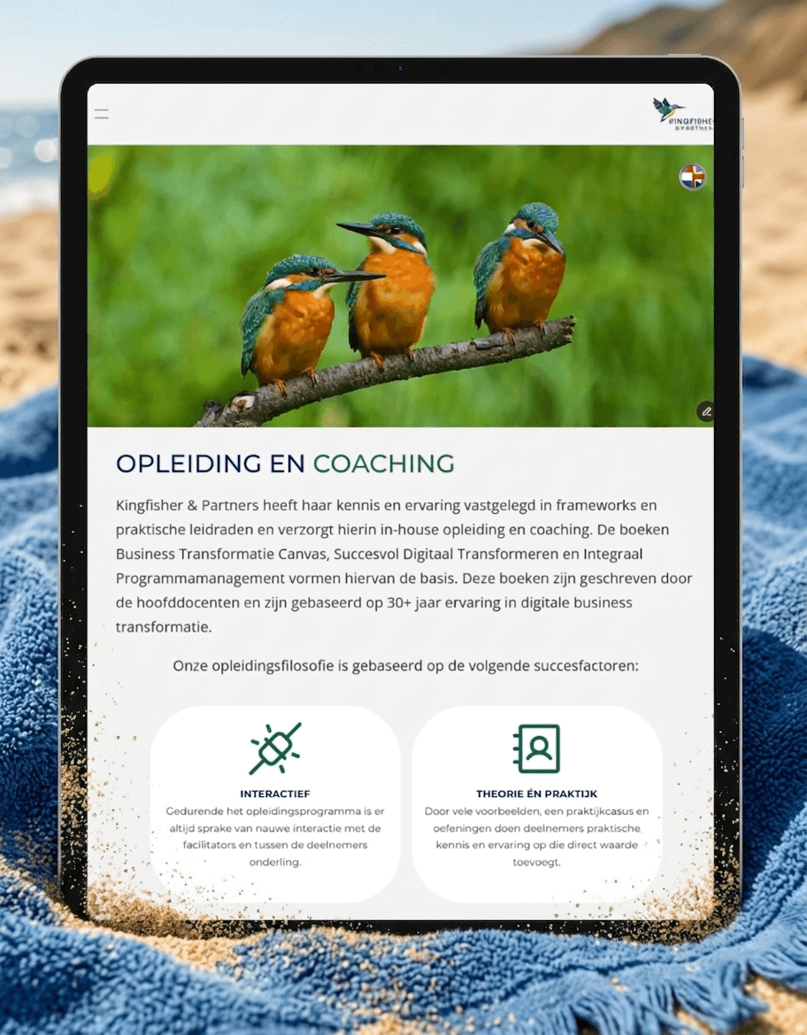 Kingfisherpartners