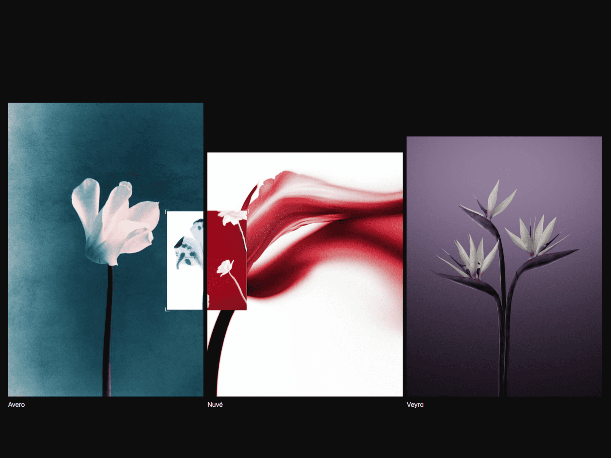CMS Cursor Preview