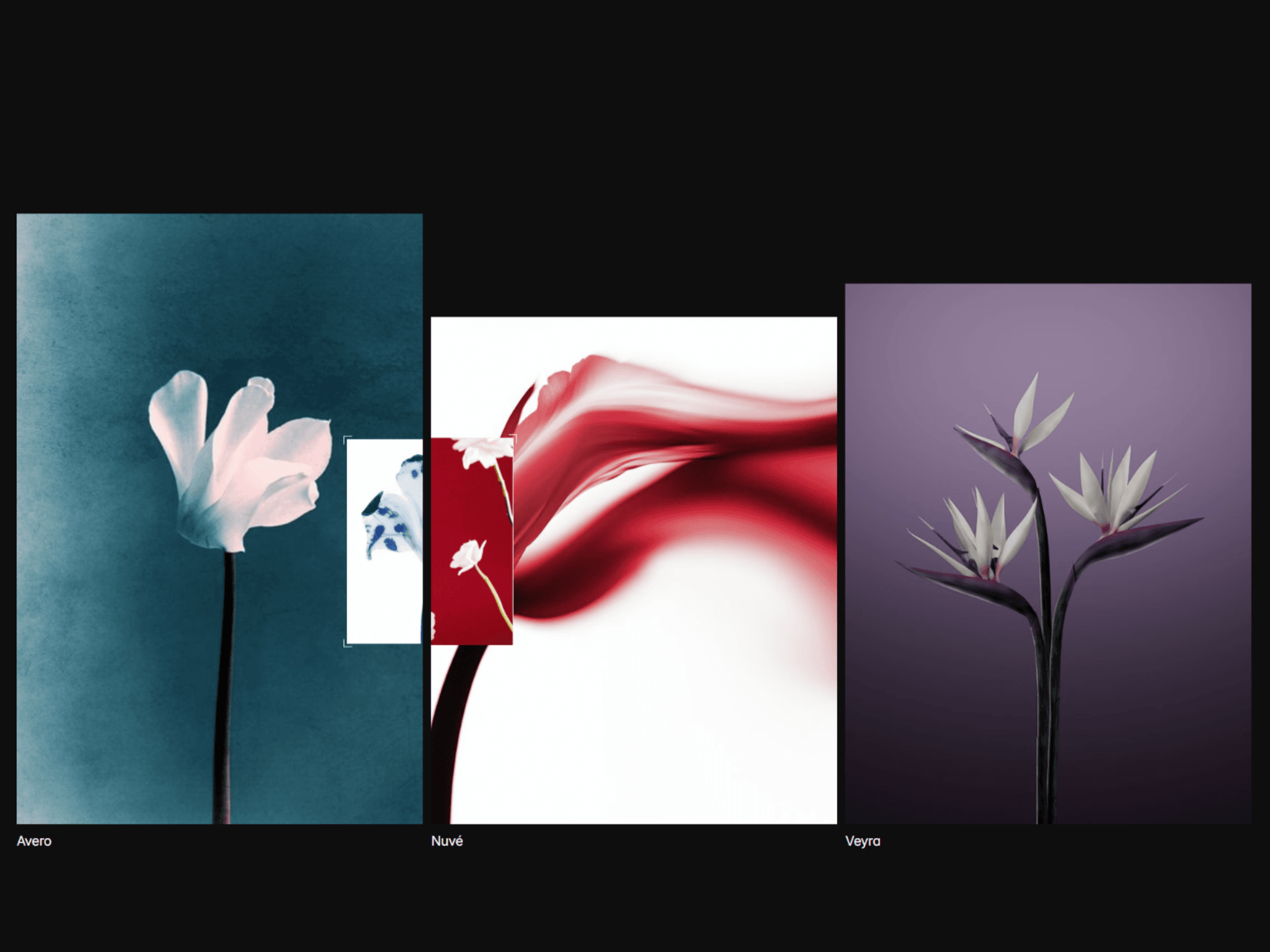 CMS Cursor Preview