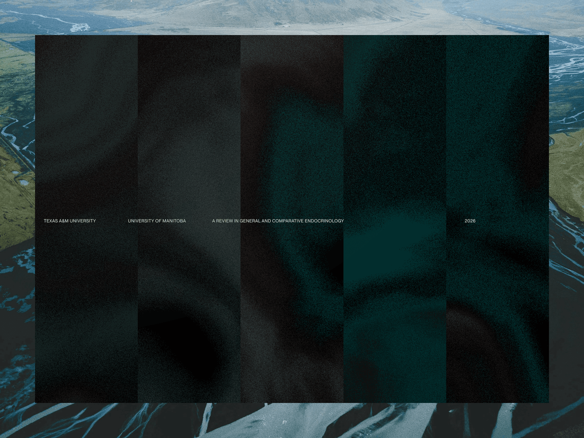 Distributed Signals