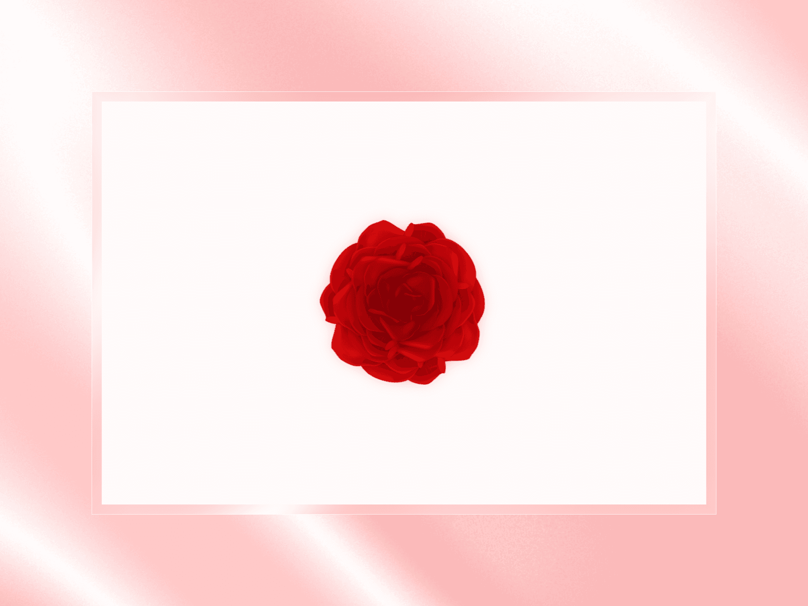Blooming Petal