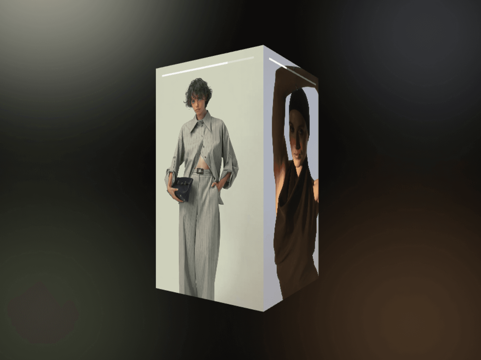 3D Media Showcase